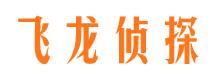 铜陵市调查公司